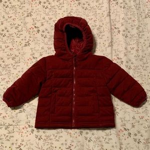 Baby winter jacket (12 mo)